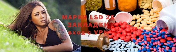 ГАЛЛЮЦИНОГЕННЫЕ ГРИБЫ Михайлов