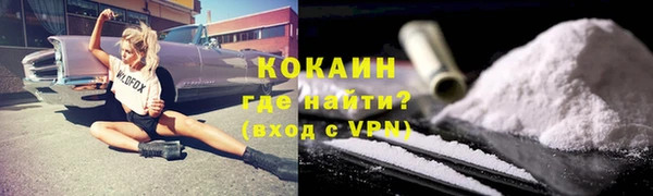 ГАЛЛЮЦИНОГЕННЫЕ ГРИБЫ Михайлов