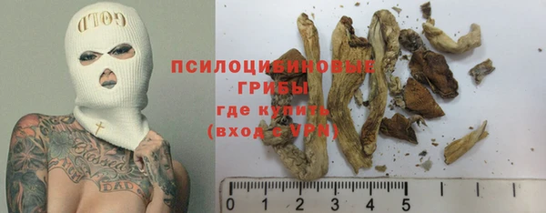 ГАЛЛЮЦИНОГЕННЫЕ ГРИБЫ Михайлов