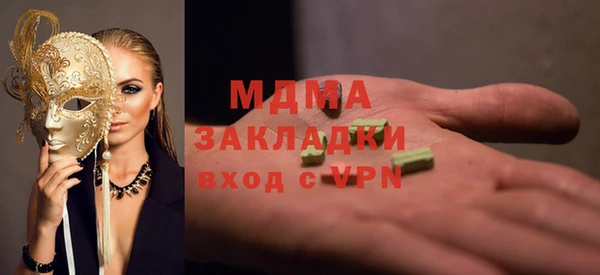 ГАЛЛЮЦИНОГЕННЫЕ ГРИБЫ Михайлов