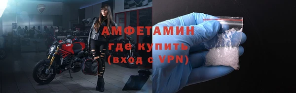 ГАЛЛЮЦИНОГЕННЫЕ ГРИБЫ Михайлов