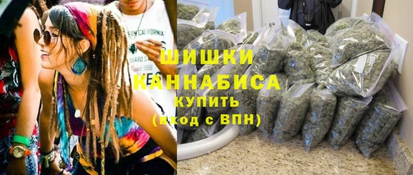 ГАЛЛЮЦИНОГЕННЫЕ ГРИБЫ Михайлов