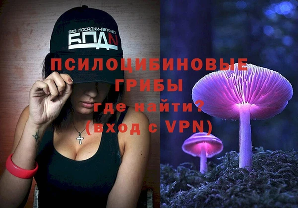 ГАЛЛЮЦИНОГЕННЫЕ ГРИБЫ Михайлов