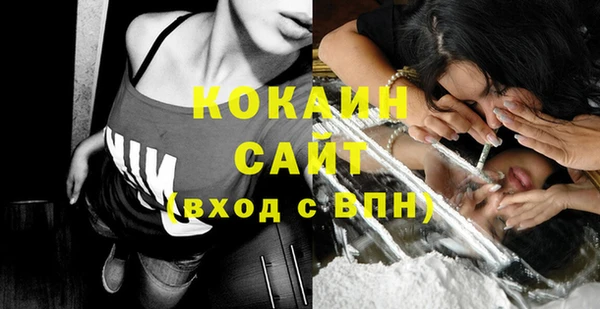 ГАЛЛЮЦИНОГЕННЫЕ ГРИБЫ Михайлов