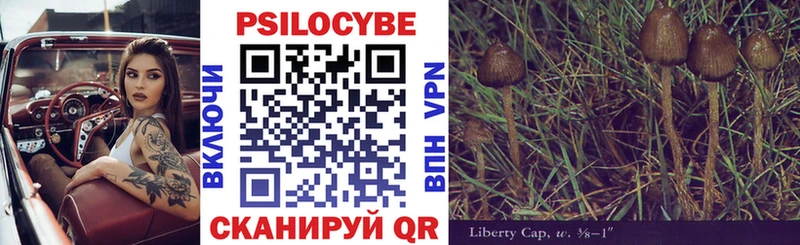 Псилоцибиновые грибы GOLDEN TEACHER  Купить закладки  Короча 